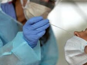 COVID19 стабильно 120 Статистика заболеваемости в Приамурье на 10 октября