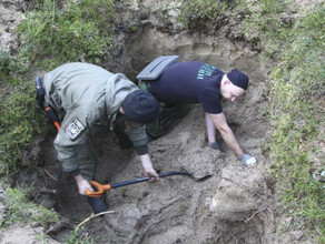 Останки амурского солдата нашли в Ленинградской области 