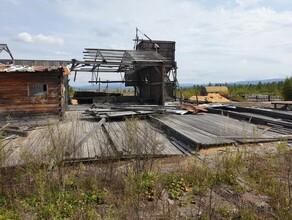 Настоящий детектив в Приамурье при реализации инвестпроекта по освоению лесов нанесен многомиллионный ущерб бюджету