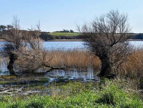 В Приамурье ищут инвестора для создания предприятия по добыче грязи