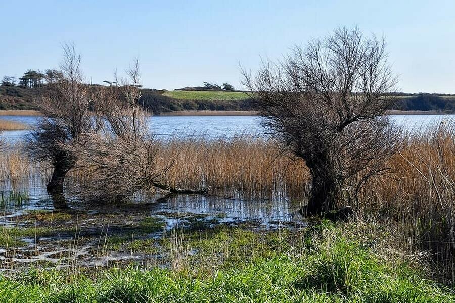 Знакомства В Поярково Амурской Области Михайловского Района