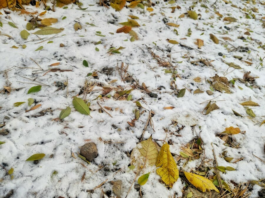 Снега не будет прогноз погоды на 17 октября в Амурской области