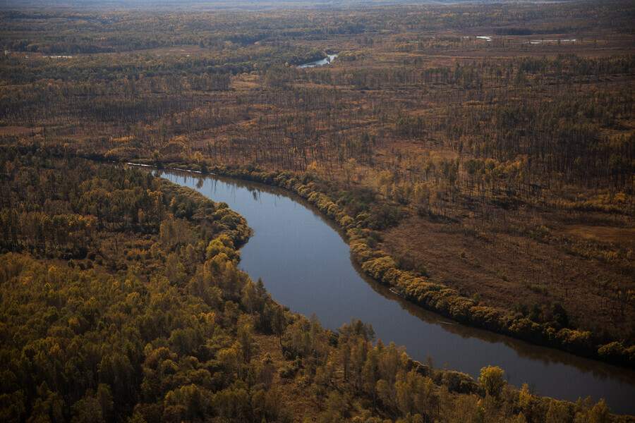Золотодобытчики нанесли ущерб рекам Амурской области более чем на 200 миллионов рублей