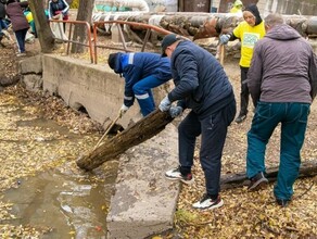 Бурхановку надо было спасать За несколько часов с территории реки вывезли несколько КамАЗов с мусором