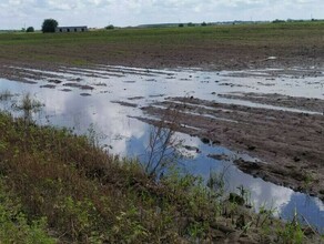 Условия сельхозстрахования для дальневосточных аграриев могут измениться Поручение подписал Владимир Путин  