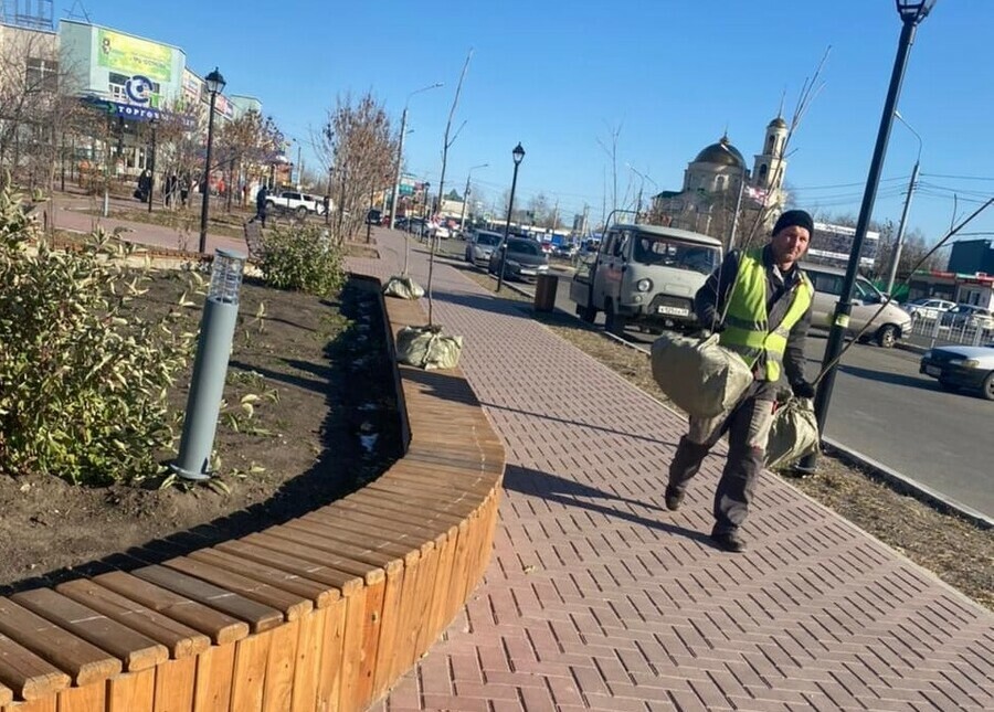 Возле бывшего кинотеатра Харбин высадили молодые трехметровые деревья