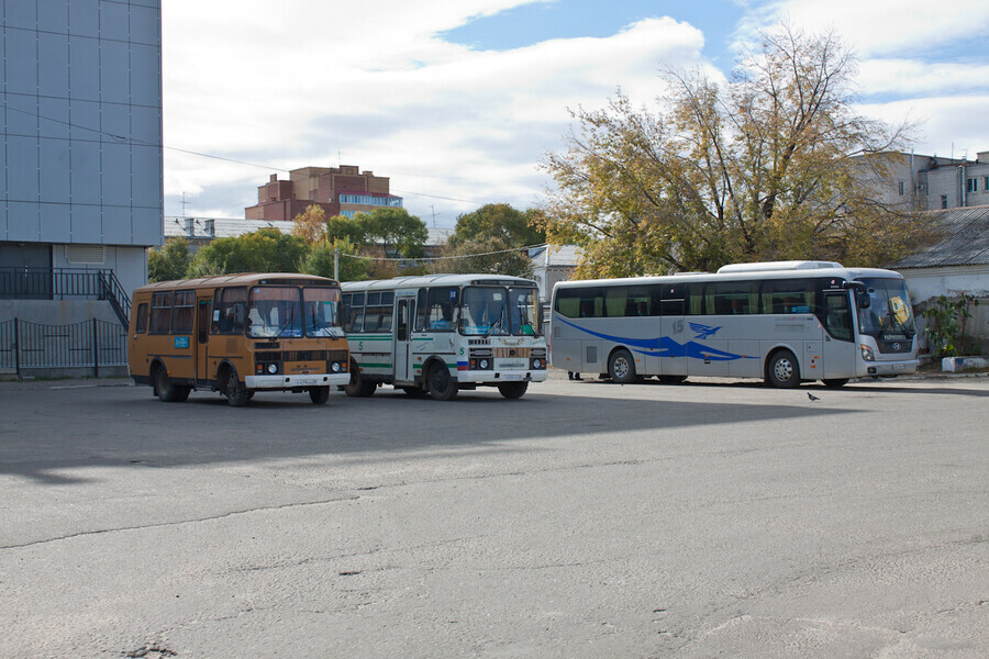 Губернатор Приамурья объяснил почему не будут вводить систему QRкодов для общественного транспорта