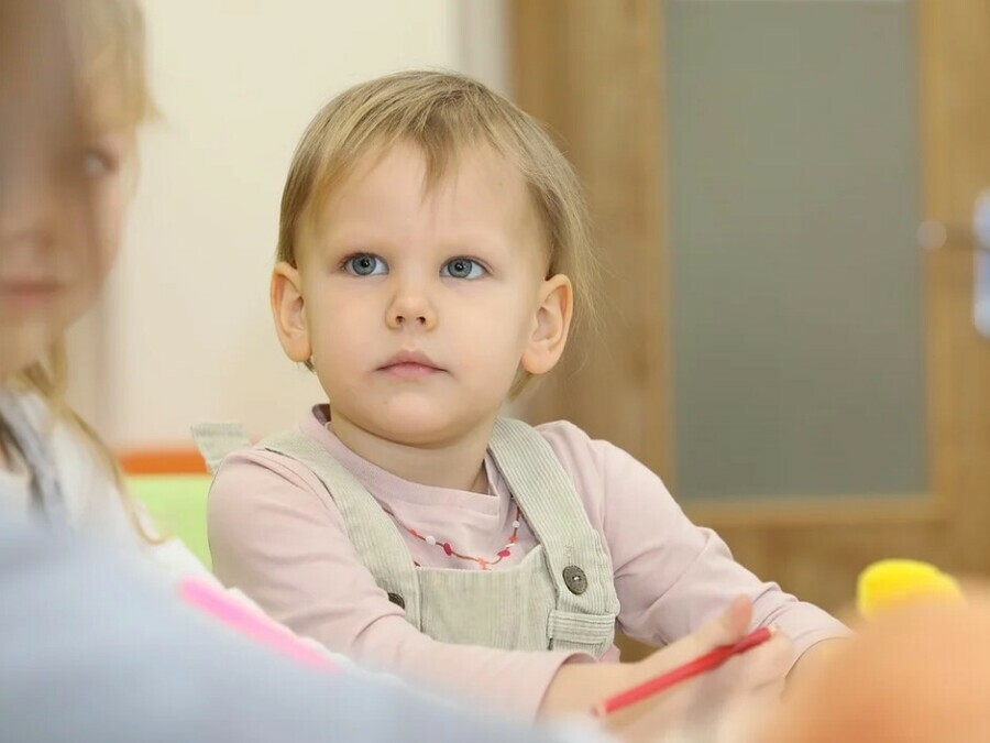 В Приамурье школы колледжи и детские сады изменят график работы на время длинных выходных