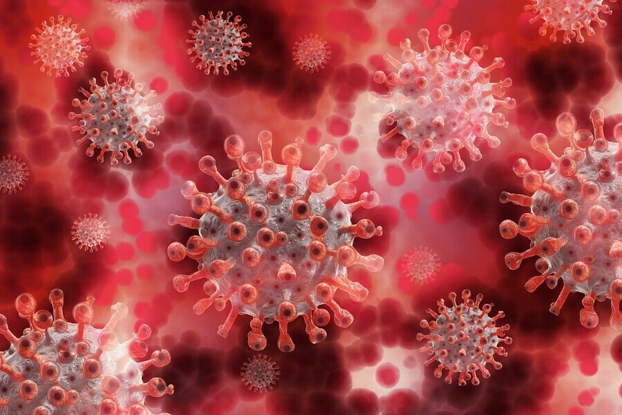 Более 3 500 амурчан захотели участвовать в исследовании популяционного иммунитета к коронавирусу 