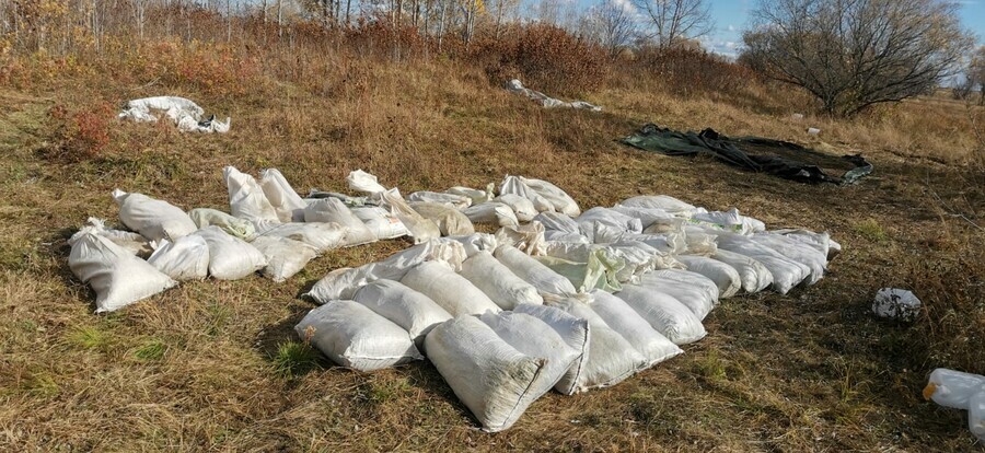 В Тамбовском районе нашли тайник где было 400 килограммов конопли