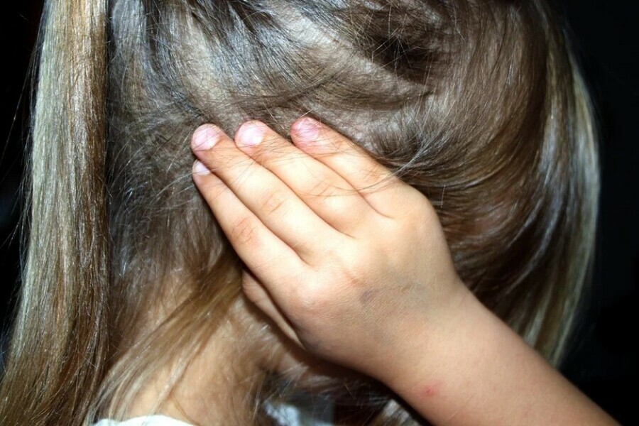 Воспитатель детского сада задержан по подозрению в педофилии 