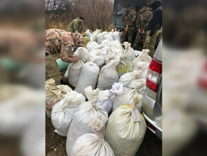 В Амурской области изъята одна из крупнейших партий наркотиков стоимостью почти в миллион рублей