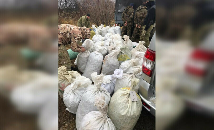 В Амурской области изъята одна из крупнейших партий наркотиков стоимостью почти в миллион рублей