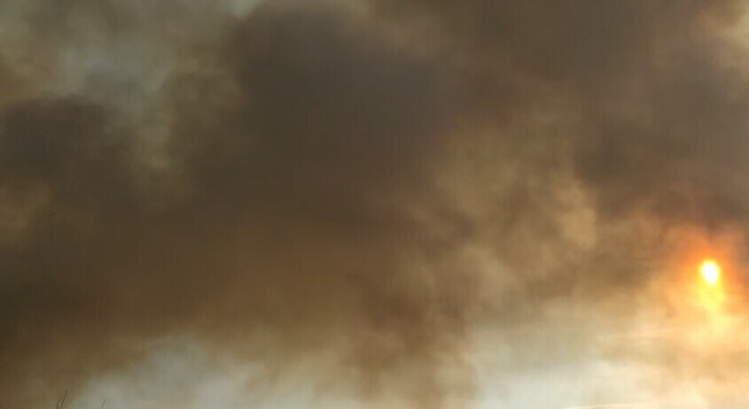 Огромные клубы дыма недалеко от Благовещенска вновь разгорелся пожар фото видео