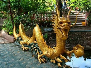 Бронзовый дракон может украсить парк Дружбы Благовещенска 