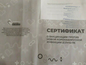 За несколько месяцев в России возбудили более 500 уголовных дел связанных с поддельными сертификатами о вакцинации