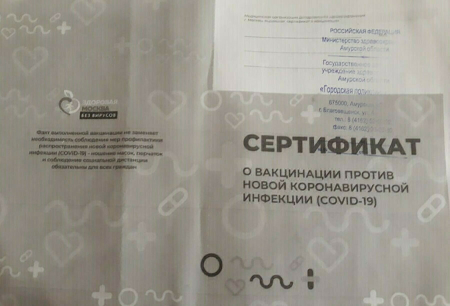 За несколько месяцев в России возбудили более 500 уголовных дел связанных с поддельными сертификатами о вакцинации