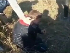 В Хабаровском крае подростки жестоко избили ребенка и сняли это на видео