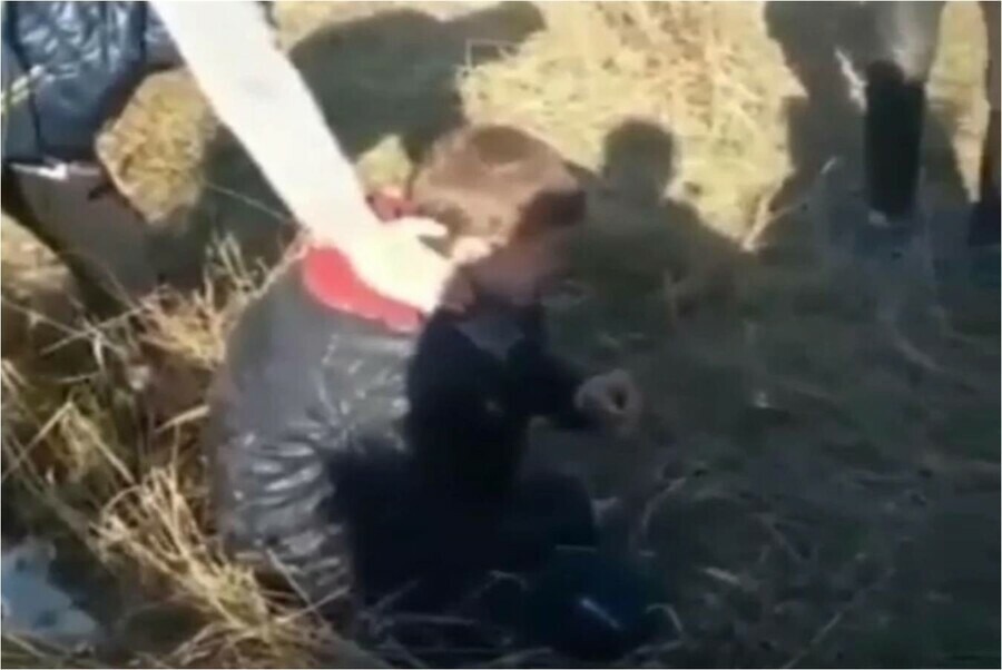 В Хабаровском крае подростки жестоко избили ребенка и сняли это на видео