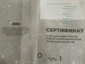 Массовое аннулирование QRкодов в России совпало с утверждением новой формы сертификата о вакцинации