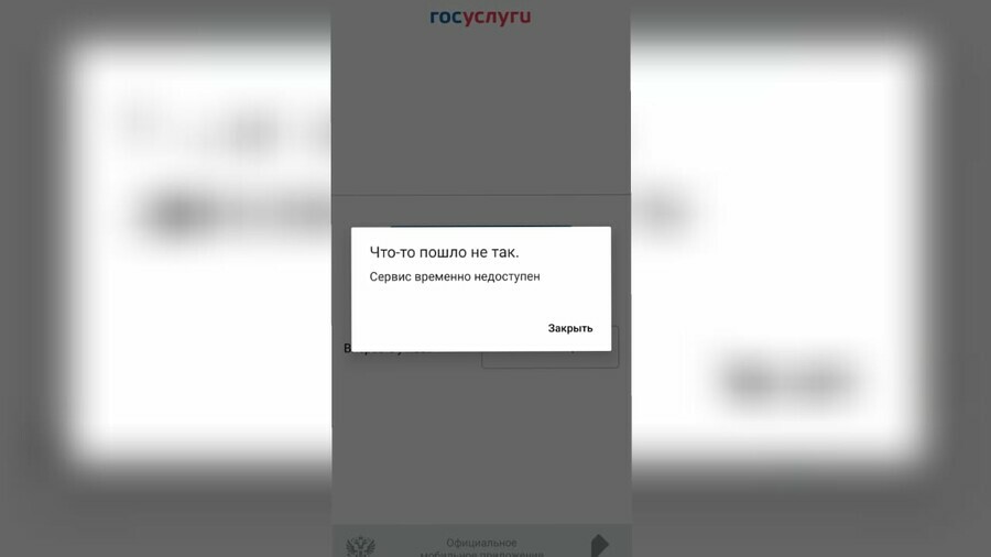 Чтото пошло не так в сервисе Госуслуги произошел сбой