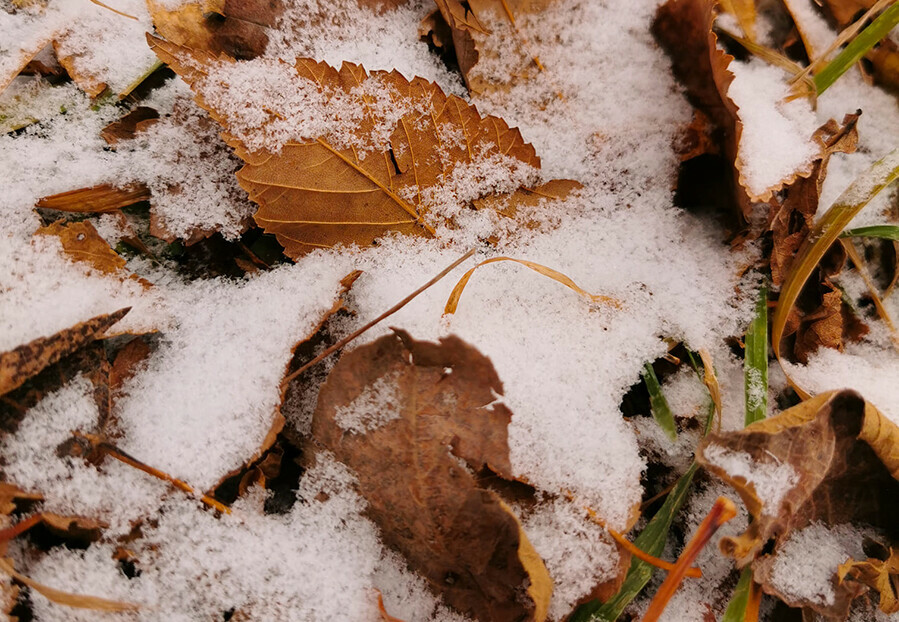В Селемджинском районе Приамурья пойдет сильный снег прогноз погоды на 11 ноября