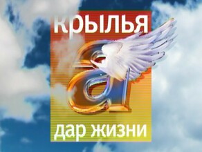 За 8 лет Альфаканал собрал на лечение больных детей около 5 миллионов рублей