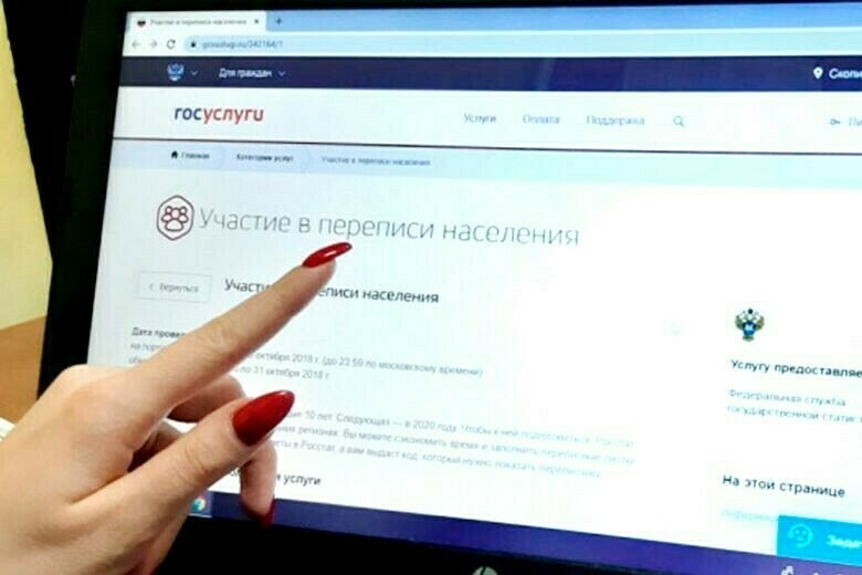 Иностранные граждане в Амурской области участвуют во Всероссийской переписи населения