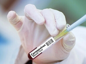 В Амурской области коронавирус продолжает бить антирекорды Суточная статистика заболеваемости