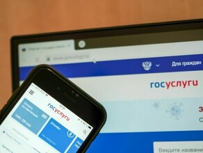 Амурчане должны активировать свои корпоративные симкарты на Госуслугах до 30 ноября иначе они будут заблокированы