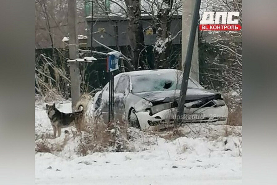 В Волкове рано утром женщинаводитель насмерть сбила мужчину 