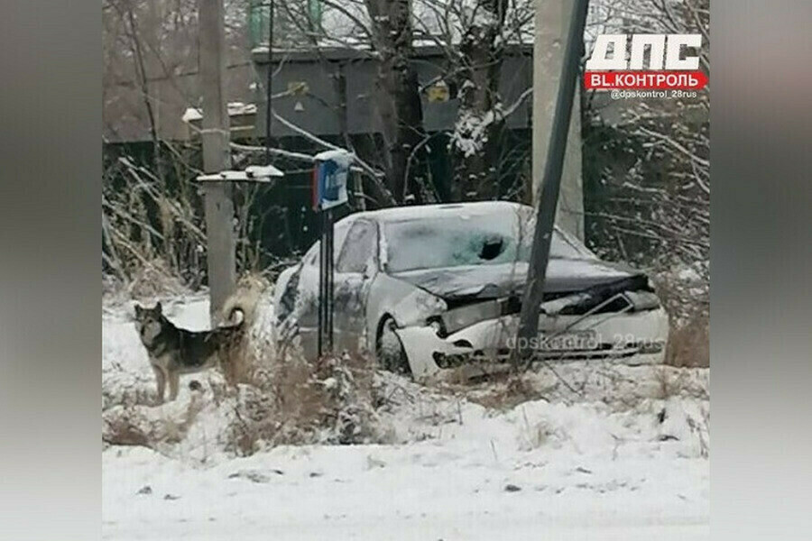 В Волкове женщина без прав сбила насмерть мужчину