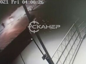 Появилось видео момента смертельного ДТП в Волкове