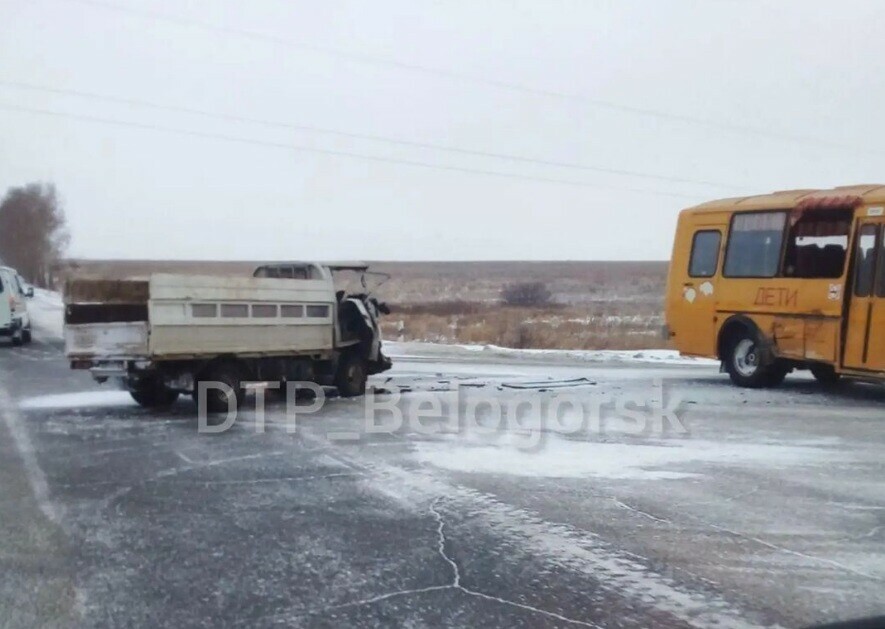 На трассе в Приамурье грузовик врезался в школьный автобус