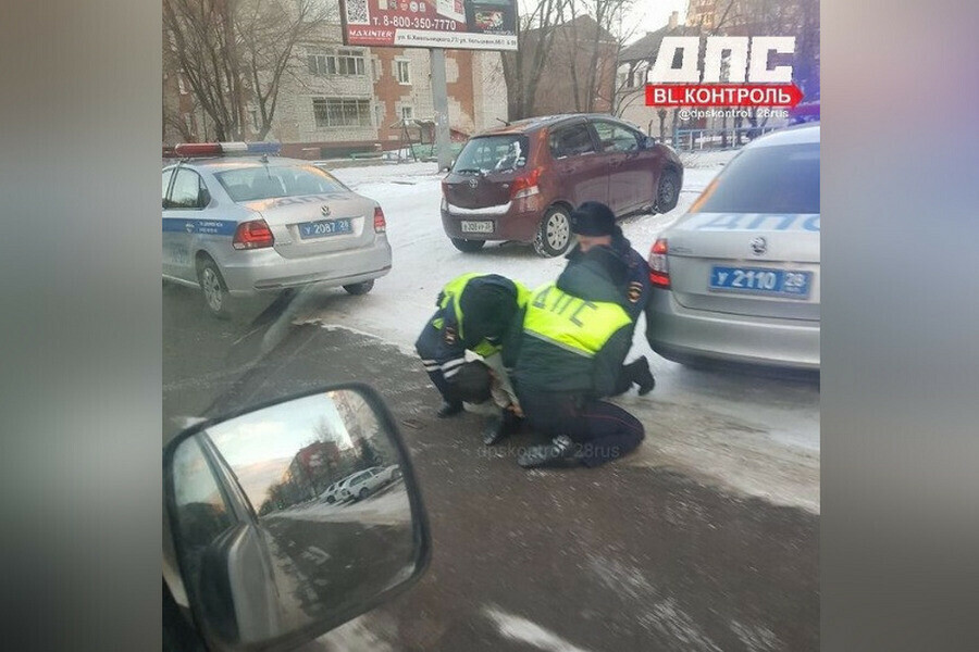 В центре Благовещенска сотрудники ДПС силой утихомирили пассажира который агрессивно защищал водителя с тонировкой