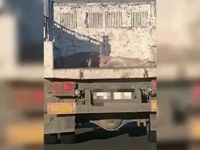 Амурчане сняли видео на котором машина везла в Благовещенск груз похожий на труп