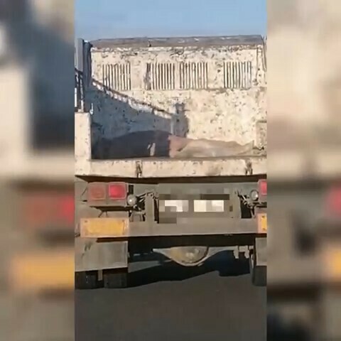 Амурчане сняли видео на котором машина везла в Благовещенск груз похожий на труп