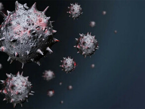 Медики определили главные симптомы омикронштамма коронавируса 