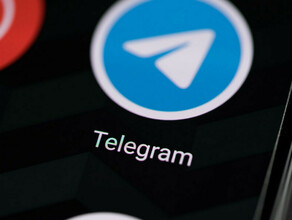 Минирование благовещенских школ связали со странной игрой школьников в Telegram