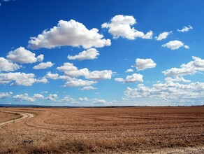 Земли Амурской области становятся менее плодородными 