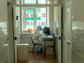 Тест на COVID19 всем поголовно сдавать не нужно в амурском минздраве уточнили кого должны тестировать 
