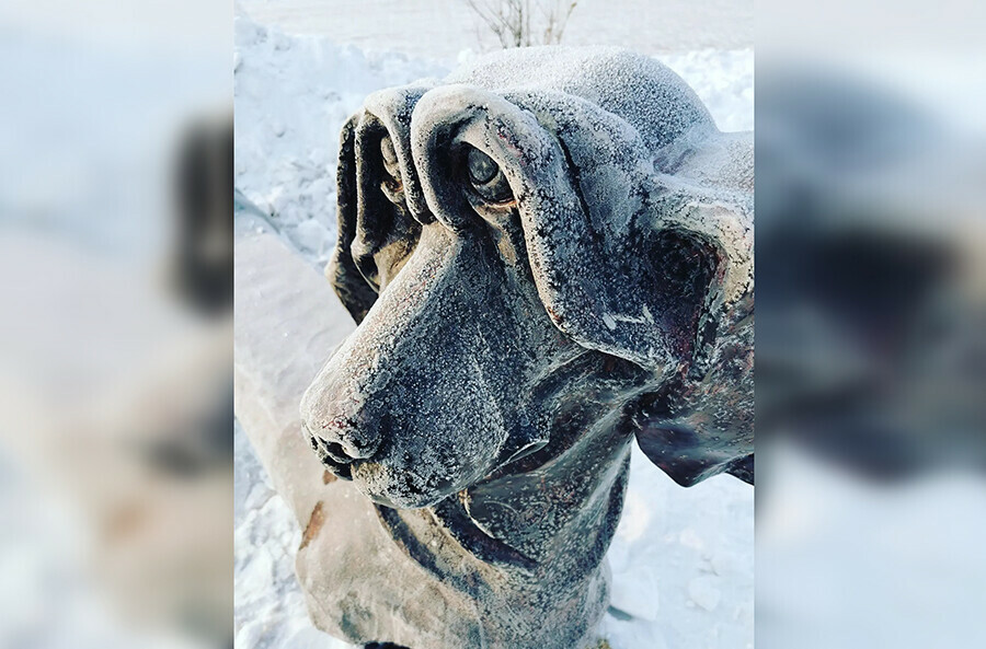 В Амурской области пойдет сильный снег разыграется метель прогноз погоды на 10 декабря