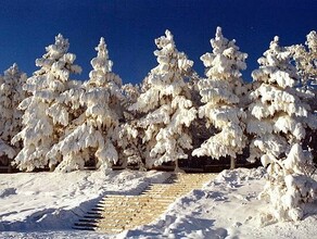 Небольшой снег Прогноз погоды в Приамурье на 12 декабря