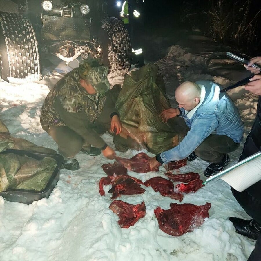 В Амурской области в лесу обнаружен вездеход полный мяса За рулем  бывший представитель власти видео