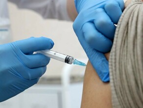 Амурский губернатор призвал не тратить силы на выездную вакцинацию в районах где много противников прививок