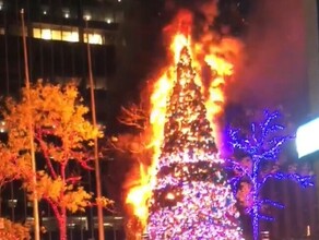 В НьюЙорке бездомный сжег главную рождественскую ель Америки стоимостью 500 тысяч долларов