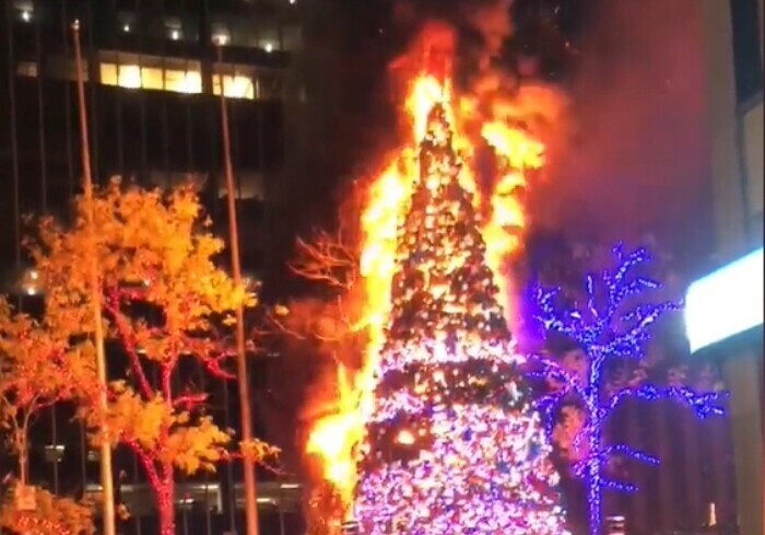 В НьюЙорке бездомный сжег главную рождественскую ель Америки стоимостью 500 тысяч долларов