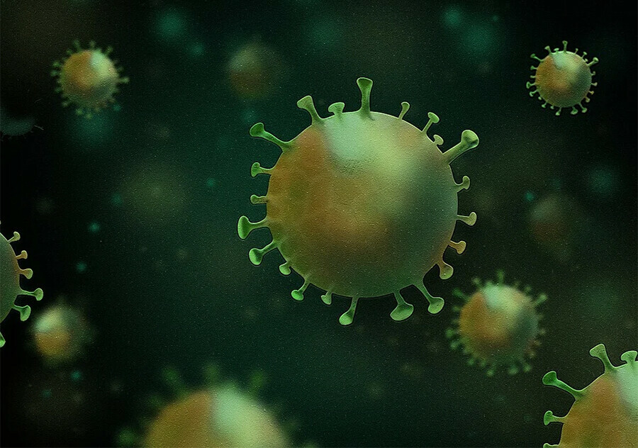 В России выросло число случаев заражения омикронштаммом коронавируса 