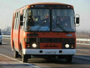 В Приамурье у пассажиров некоторых междугородных автобусов будут проверять паспорта Каких