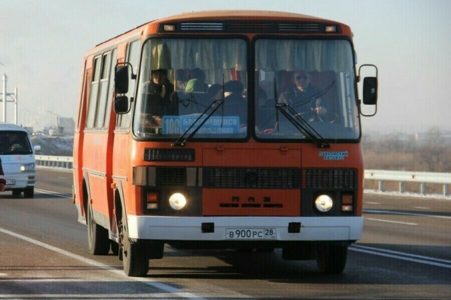 В Приамурье у пассажиров некоторых междугородных автобусов будут проверять паспорта Каких